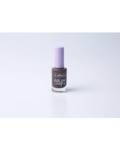 Callista Color Up Nail Polish 254 Future Nostalgia