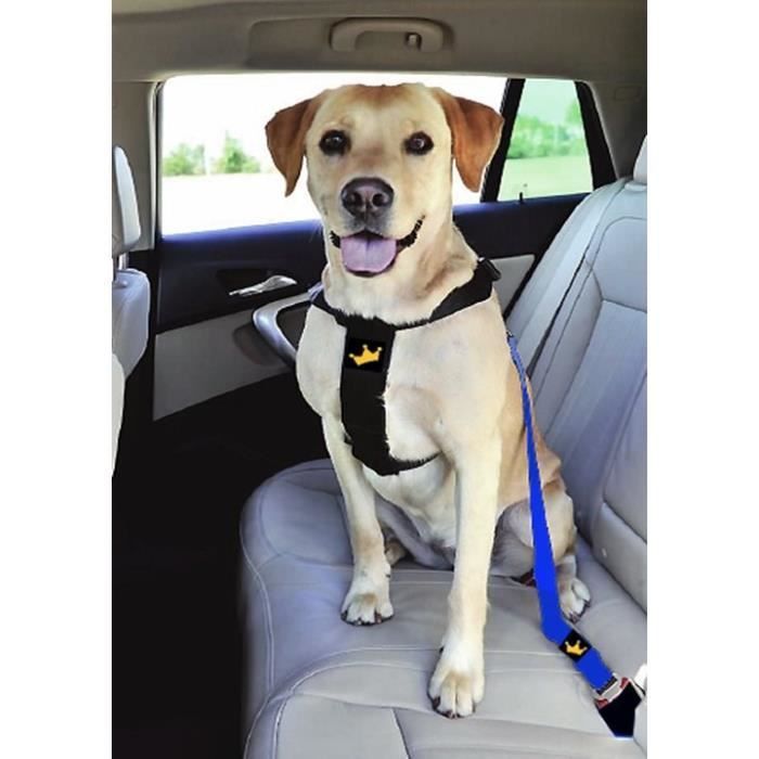 Harnais de sécurité réglable pour chien, ceinture de sécurité pour