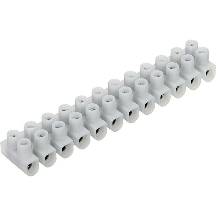 Barrette de 10 Dominos Électriques, Bornes Électriques, 12 mm², Blanc
