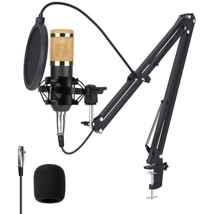 Microphone de studio avec support