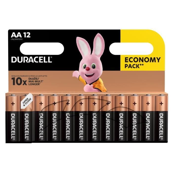 12 Piles Duracell Basic AA LR06 MN1500